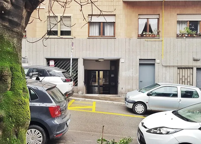 Stefy Rom